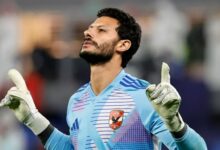 محمد الشناوي