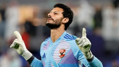 محمد الشناوي