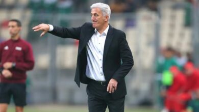 فلاديمير بيتكوفيتش