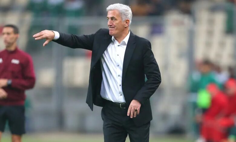 فلاديمير بيتكوفيتش